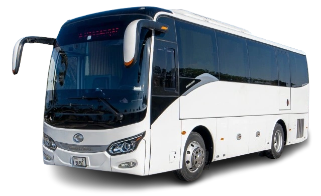 Bus.